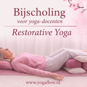 De kunst van ontspannen  Restorative Yoga introductie  sept 2026