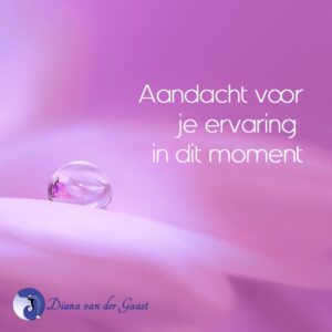 Aandacht voor je ervaring