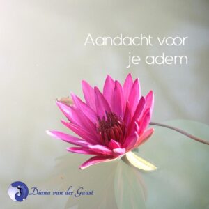 Aandacht voor je adem